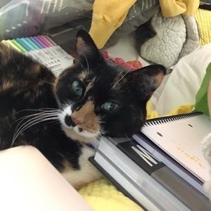 Meet your Posher, Amber